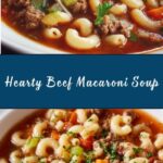 Beef and Macaroni Soup Recipe