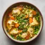 Potsticker Soup Recipe