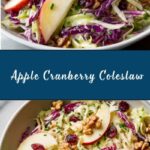 Apple Cranberry Coleslaw Recipe