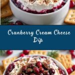 Cranberry Cream Cheese Dip Recipe