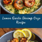 Shrimp Orzo Lemon Garlic Sauce Recipe