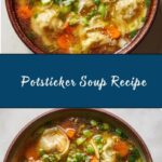 Potsticker Soup Recipe