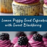Lemon Poppy Seed Cupcakes with Blackberry Frosting Recipe