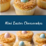 Mini Easter Cheesecakes Recipe