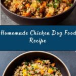 Homemade Dog Food Recipe