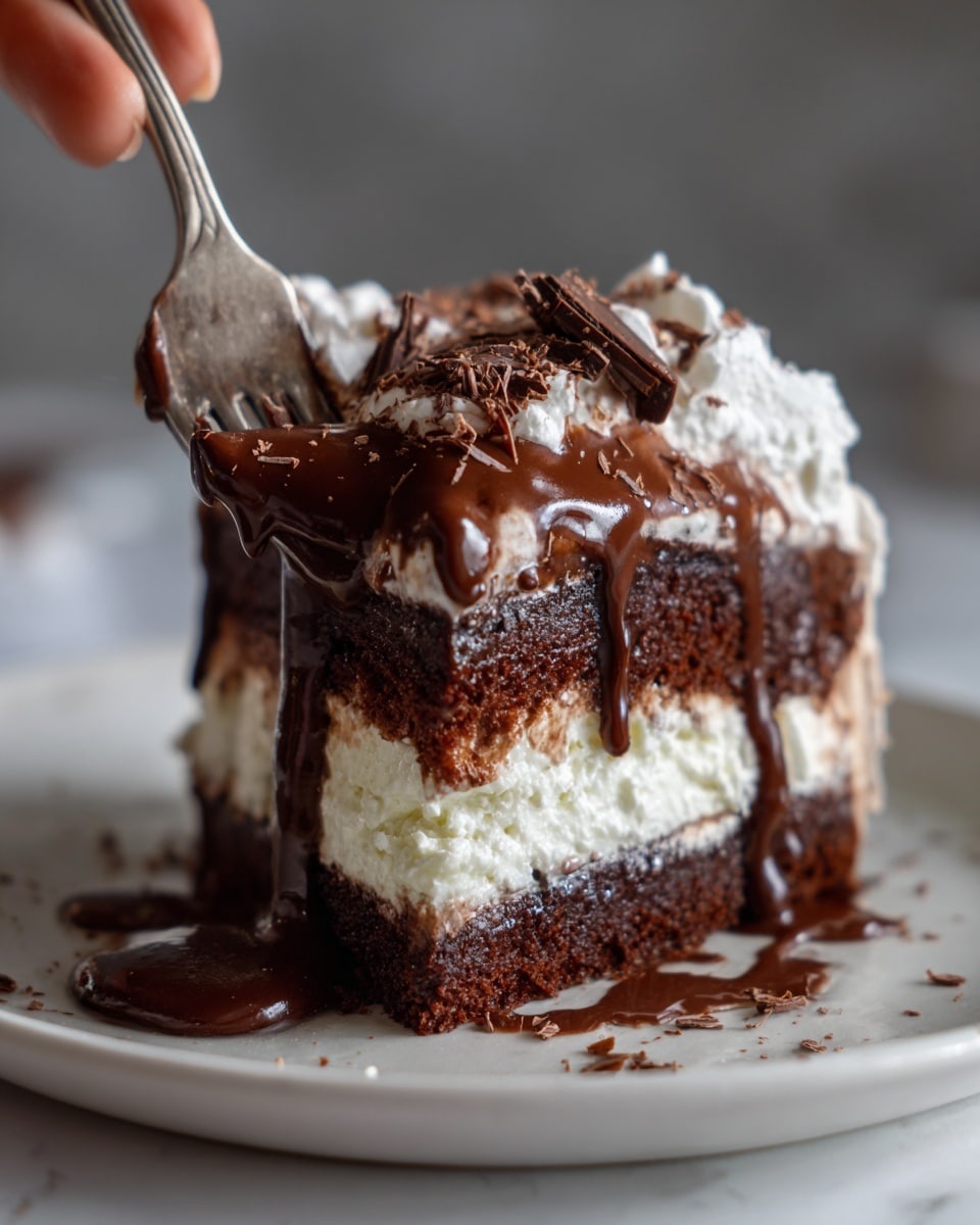 Hot Fudge Chocolate Pudding Cake Recipe - Recipe Image