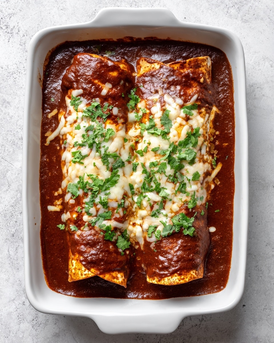 Enfrijoladas Recipe - Recipe Image