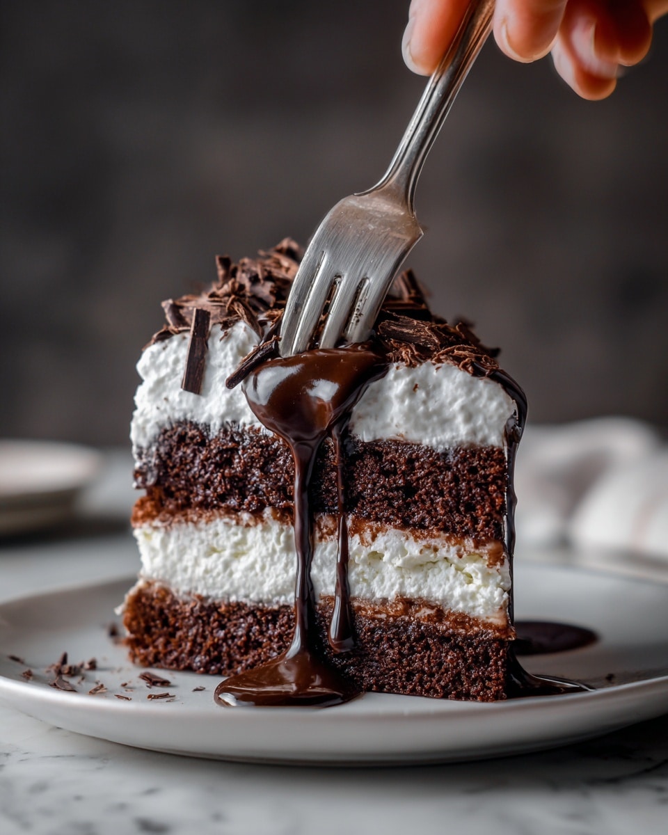 Hot Fudge Chocolate Pudding Cake Recipe - Recipe Image
