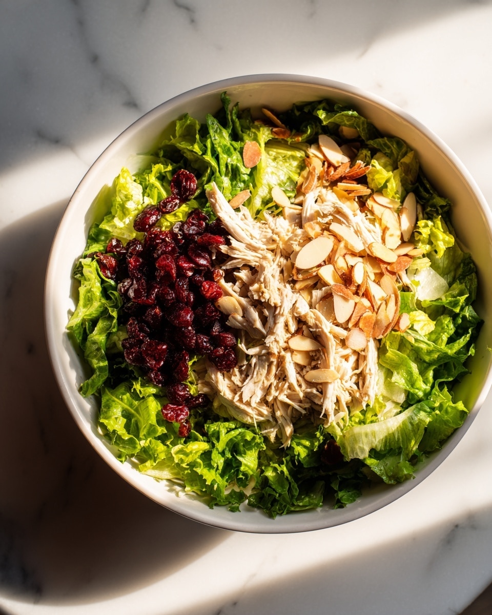Asian Chicken Cranberry Salad Recipe - Recipe Image