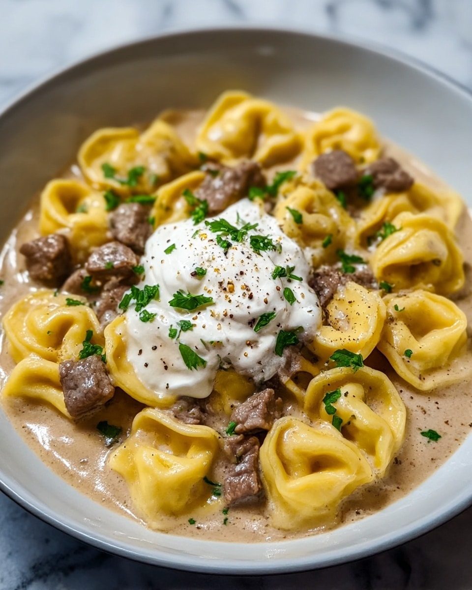 One-Skillet Beef Stroganoff Tortellini Recipe - Recipe Image