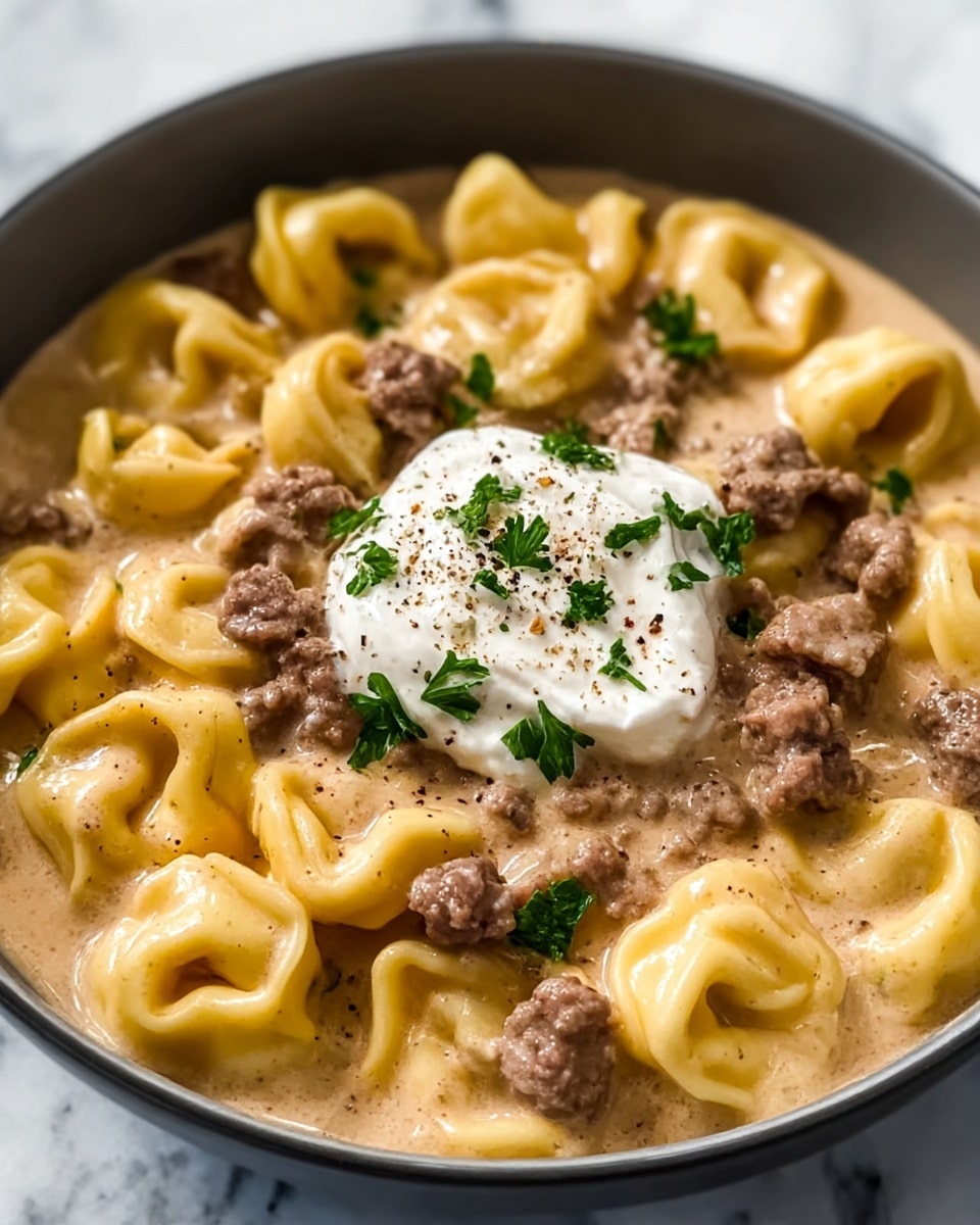 One-Skillet Beef Stroganoff Tortellini Recipe - Recipe Image